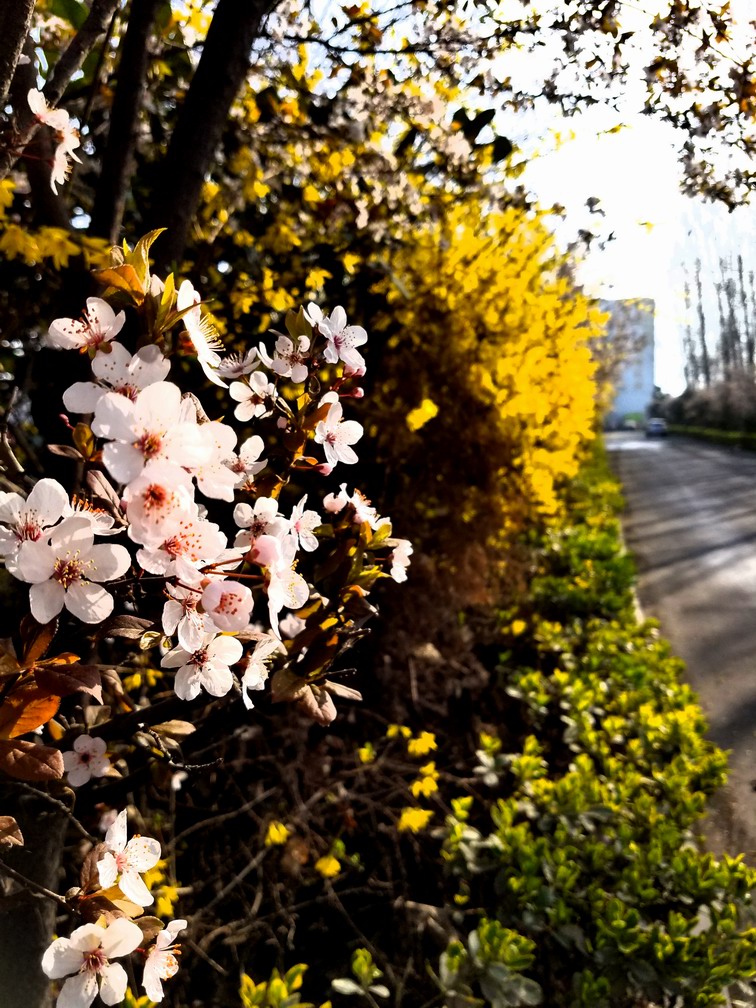 �{(di��o)����С 20170323_084201.jpg