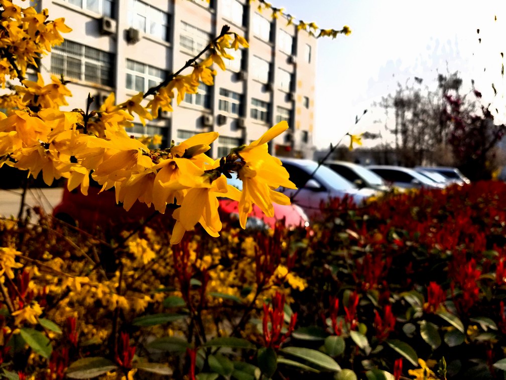 �{(di��o)����С 20170323_084520.jpg